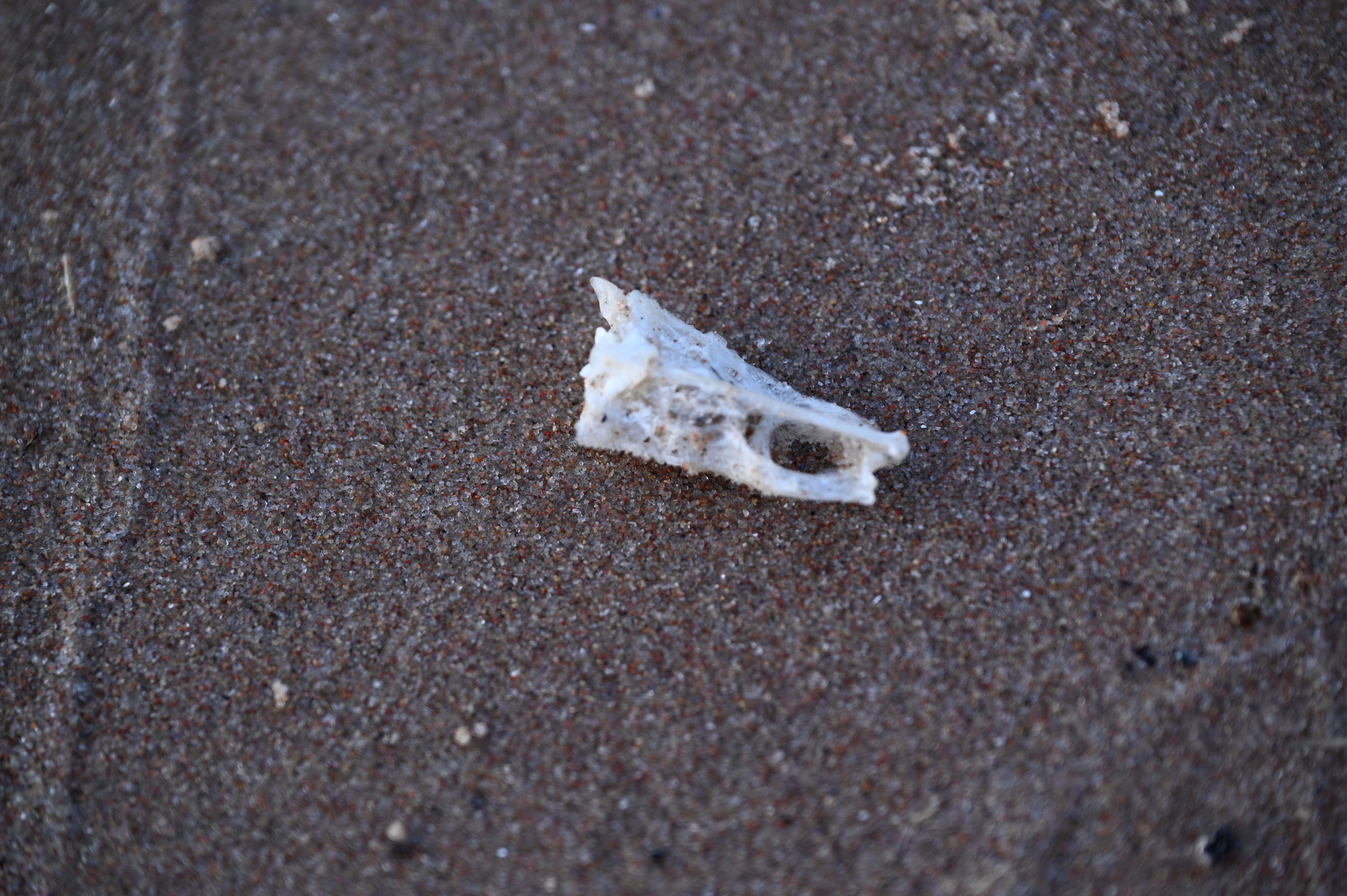 2025/07/09-14 - trip/DSC_0632.JPG